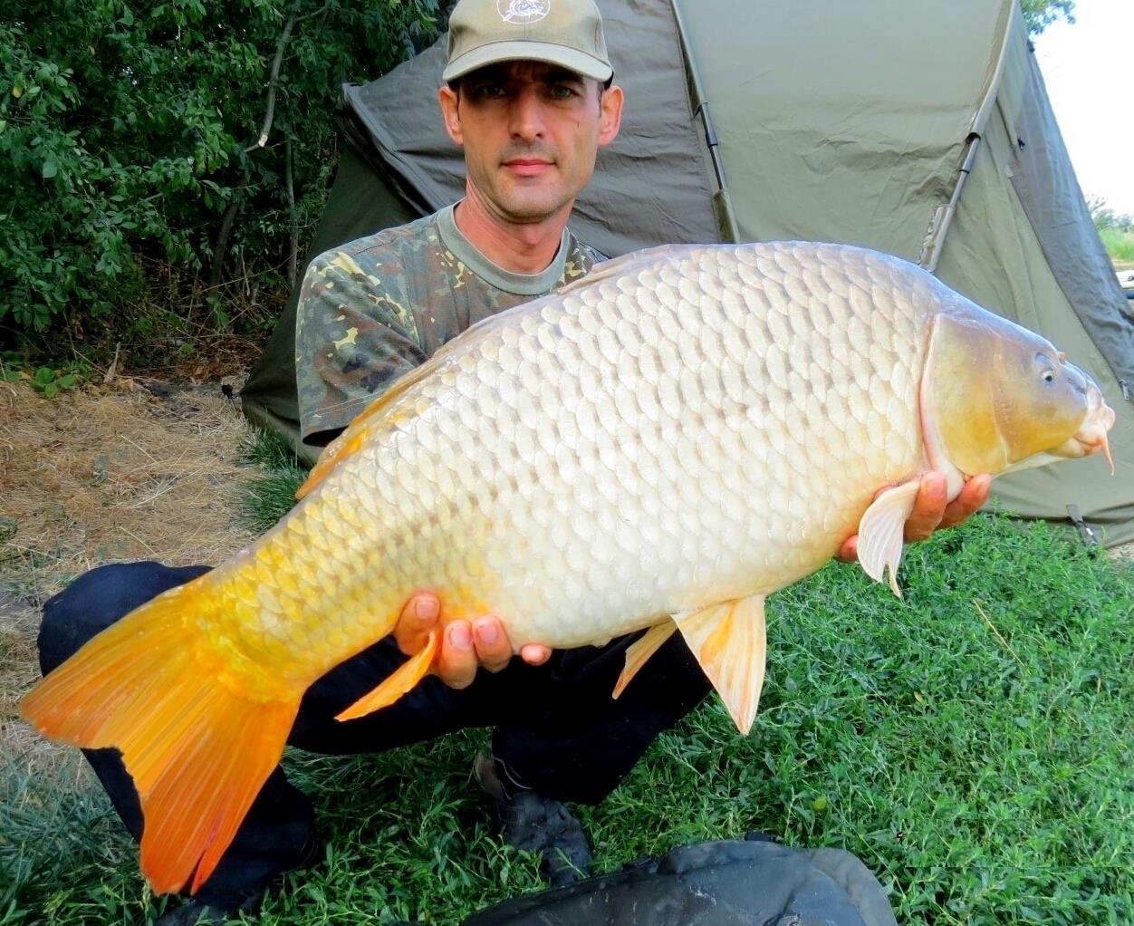 The best pictures of 2013 - 10,290